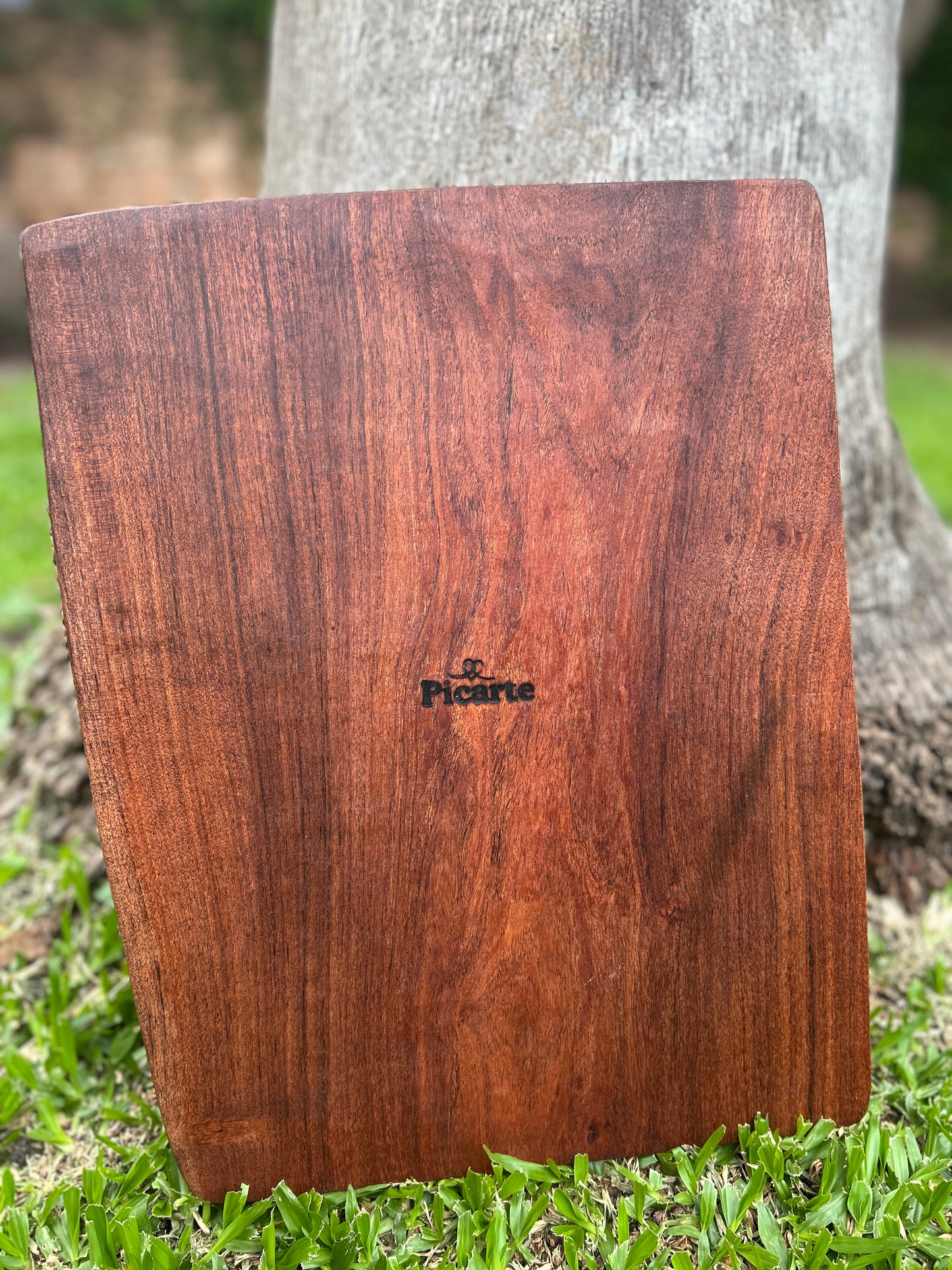 Grande negra y blanca